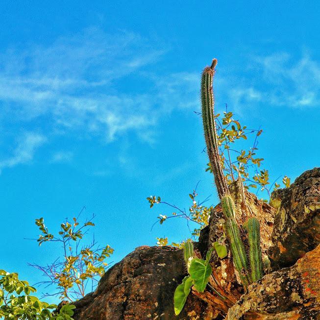 Pousada Chapada Das Mesas Riachão Eksteriør bilde